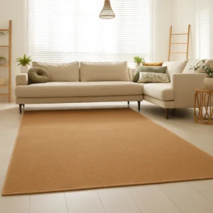 Jute Rug in Living Room