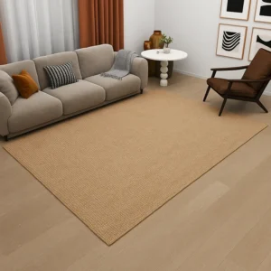 Jute Rug in Living Room