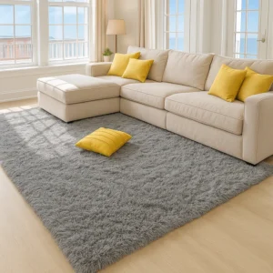 Rugs in Living Room