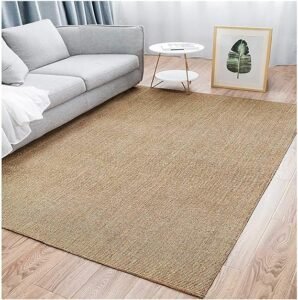 Read more about the article How to Choose the Best Sisal Carpet for Your Home